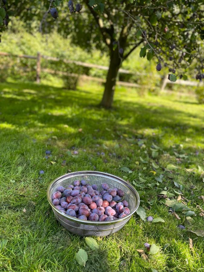 Klimatyczny Dom Kopaczowka Przytulna Miejscowka Z Kominkiem, Sauna I Ogrodem U Podnoza Gor Stolowych 拉德库夫 外观 照片